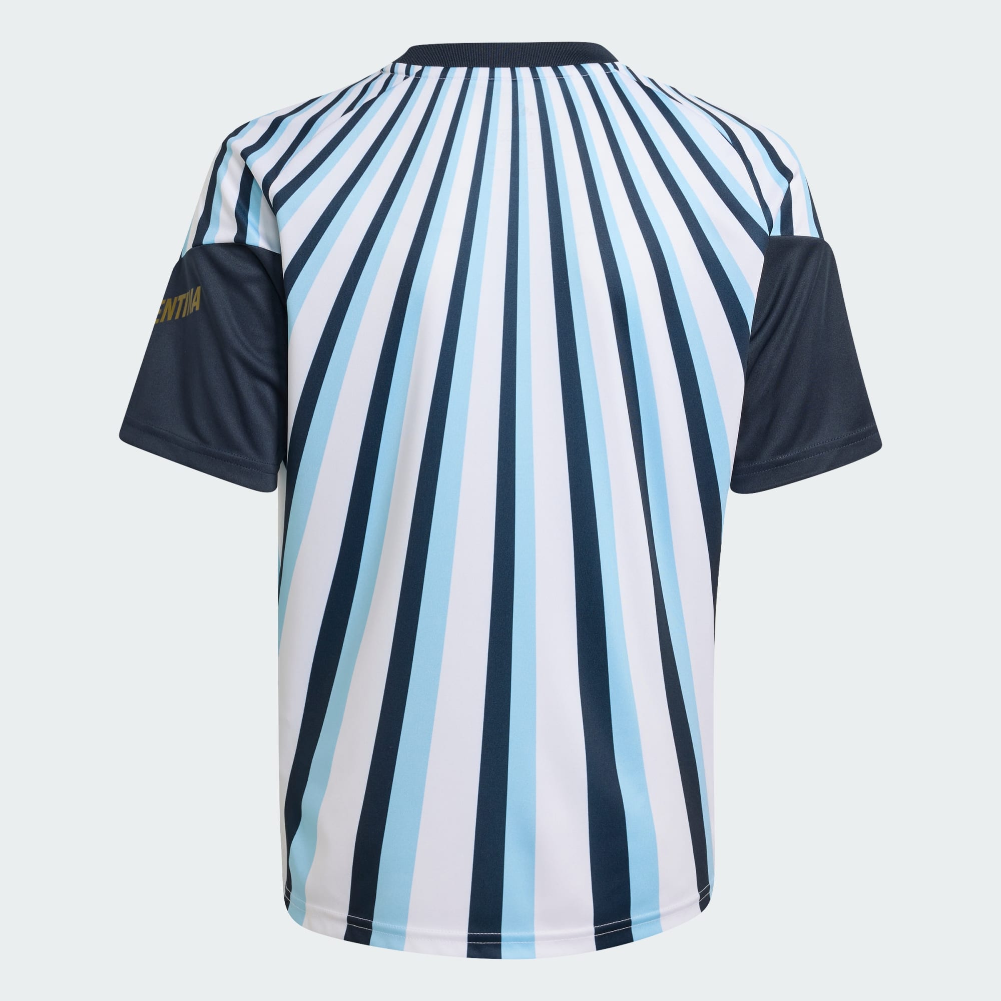 Argentina 26 Home Kids Pre Match Jersey