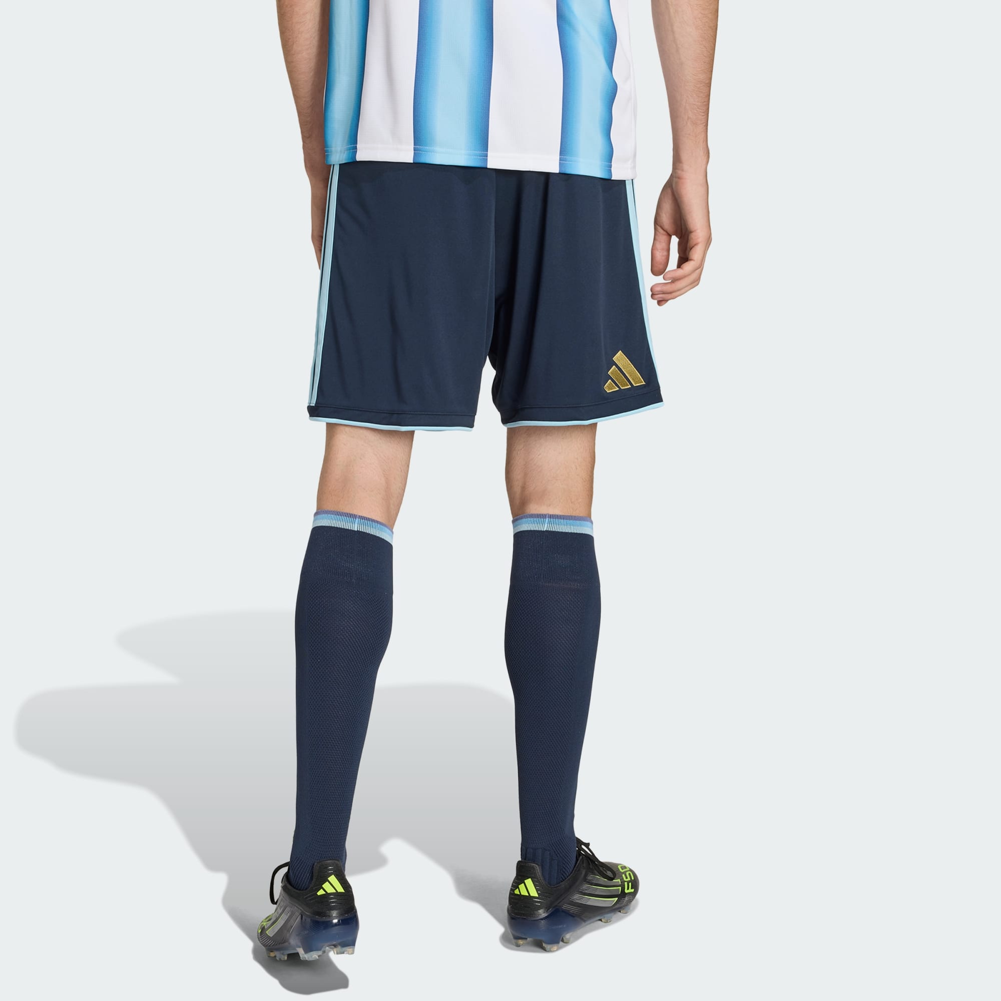 Argentina 26 Home Shorts