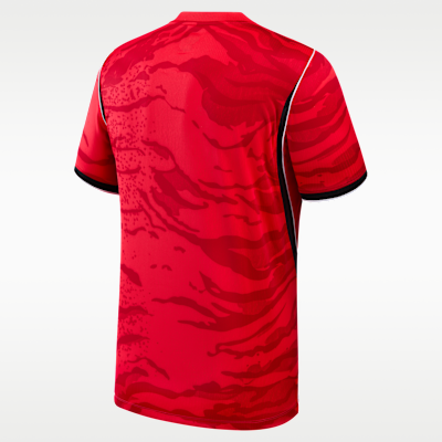South Korea National Team 2026 Stadium Home