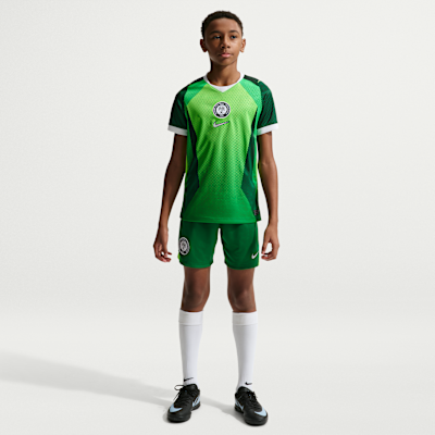 Nigeria 2026 Stadium Home
