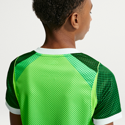 Nigeria 2026 Stadium Home