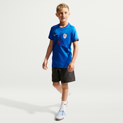 Slovenia 2026 Stadium Away