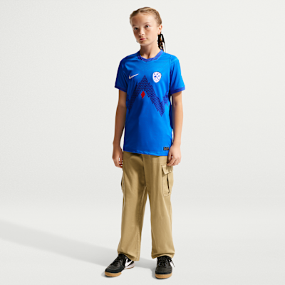 Slovenia 2026 Stadium Away