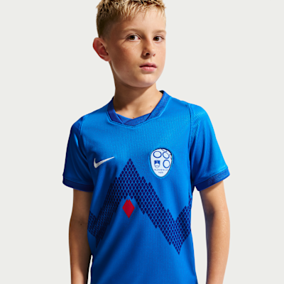 Slovenia 2026 Stadium Away