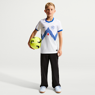 Slovenia 2026 Stadium Home
