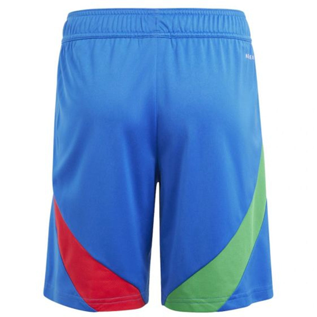 Italy Away Shorts 2024 Euro Cup
