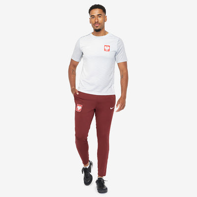 Nike Poland 2024 Dri-FIT Academy Pro SS Top