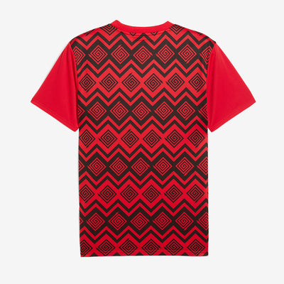 Puma Egypt 2025 SS Pre-Match Shirt