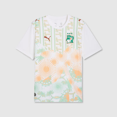 Puma Ivory Coast 2026 Away Shirt