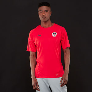 Puma Austria 2018 Training Shirt