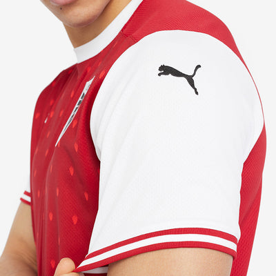 Puma Austria 19/20 Home Shirt Replica