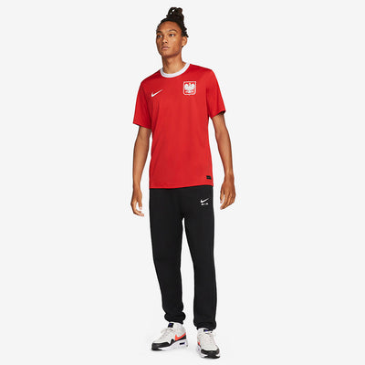 Nike Poland 2023 Dri-Fit Football SS Away Top