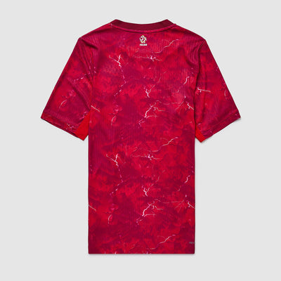 Nike Poland 2026 Authentic Dri-FIT Academy Away Shirt