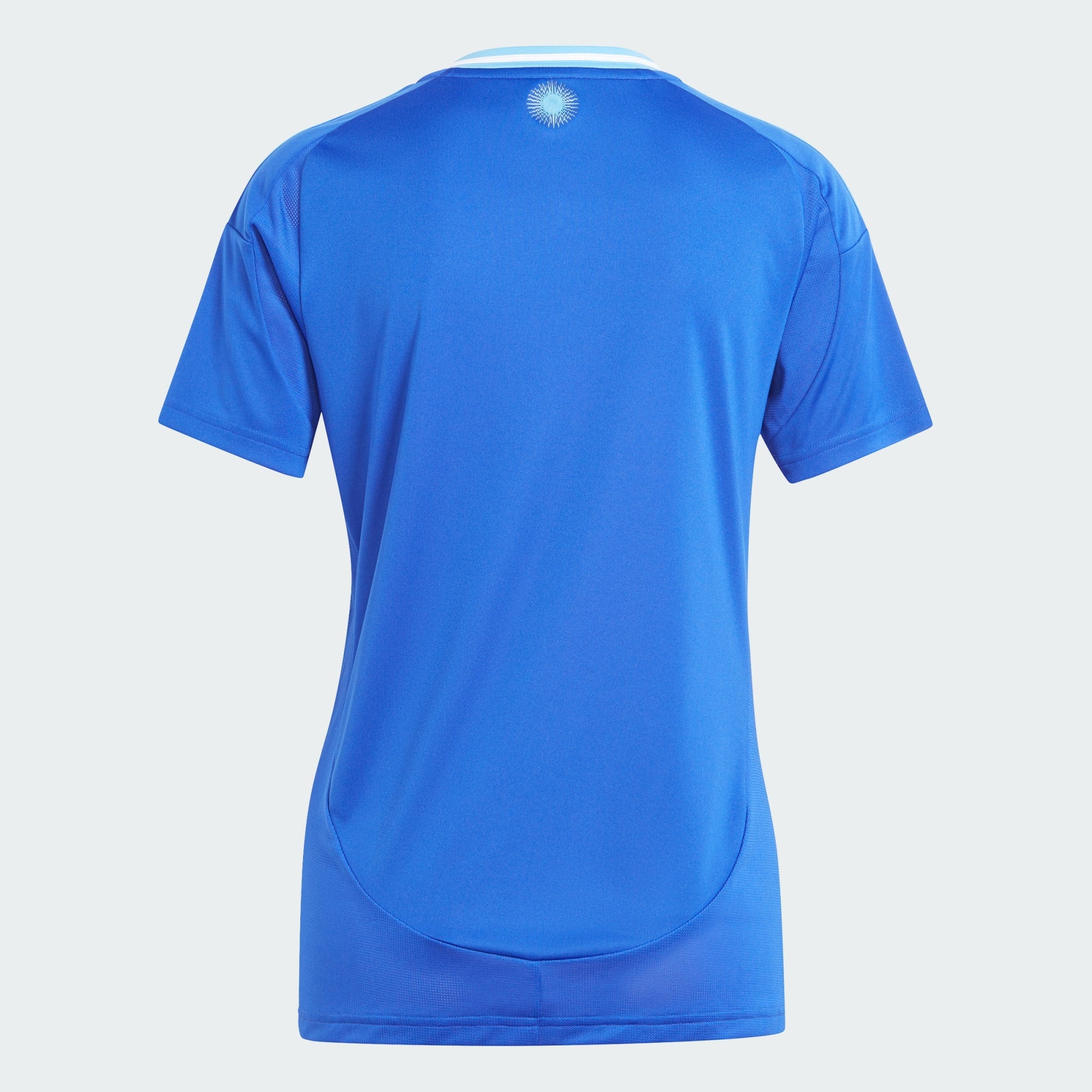 Argentina 24 Away Jersey