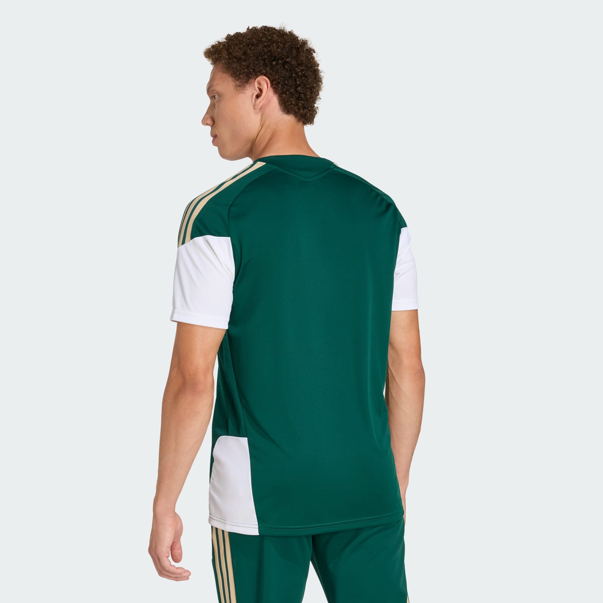 Italy 26 Tiro Training Jersey