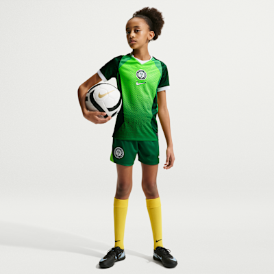Nigeria 2026 Stadium Home