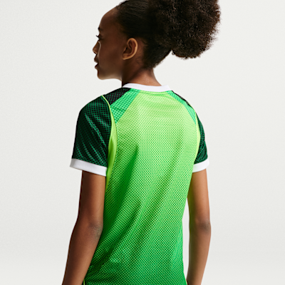 Nigeria 2026 Stadium Home