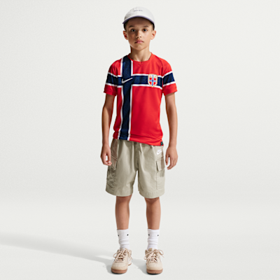 Norway National Team 2026 Stadium Home