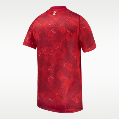 Poland 2026 Stadium Away