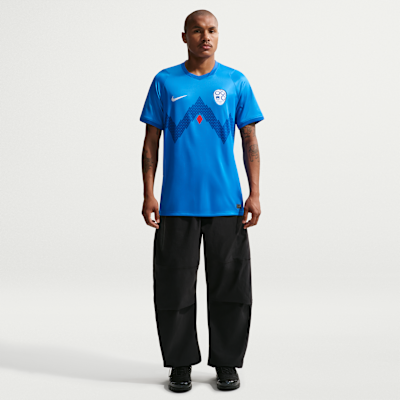 Slovenia 2026 Stadium Away