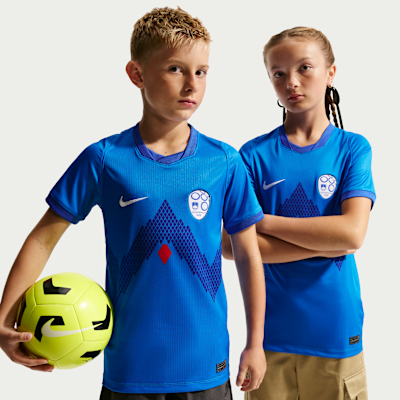 Slovenia 2026 Stadium Away