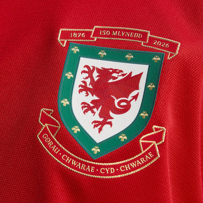 Wales 150 Jersey