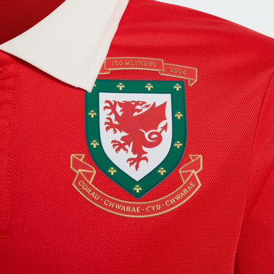 Wales 150 Kids Jersey