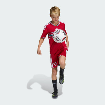 Wales 26 Home Kids Jersey